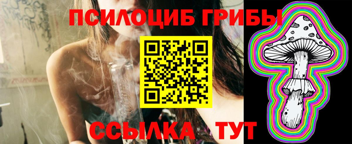 Псилоцибиновые грибы мухоморы Ноябрьск
