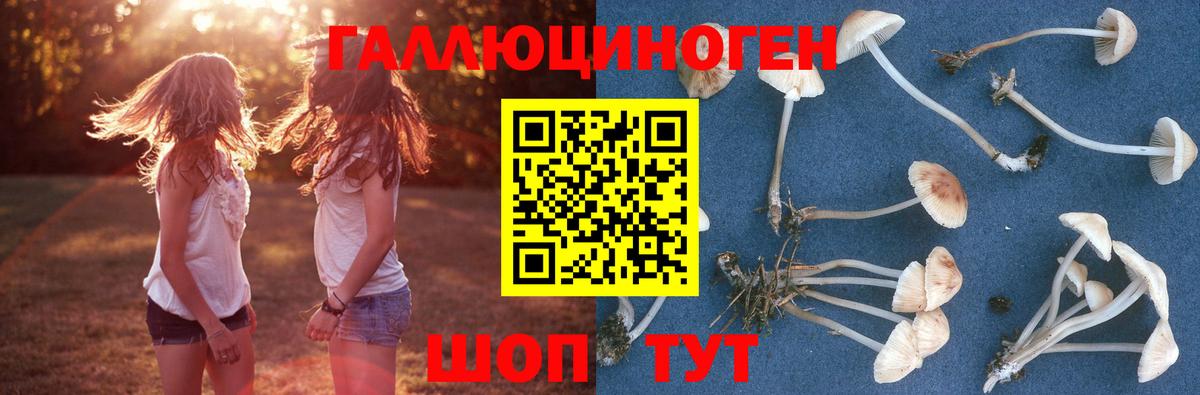 Ноябрьск  Псилоцибиновые грибы мухоморы  Вход с VPN 